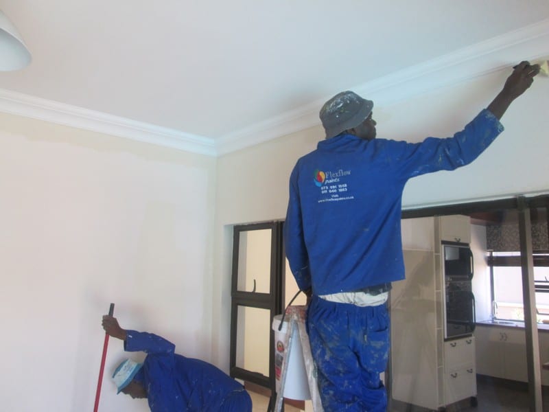 Maintenance and Damp Repair